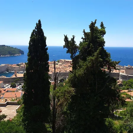 Apartment Vista